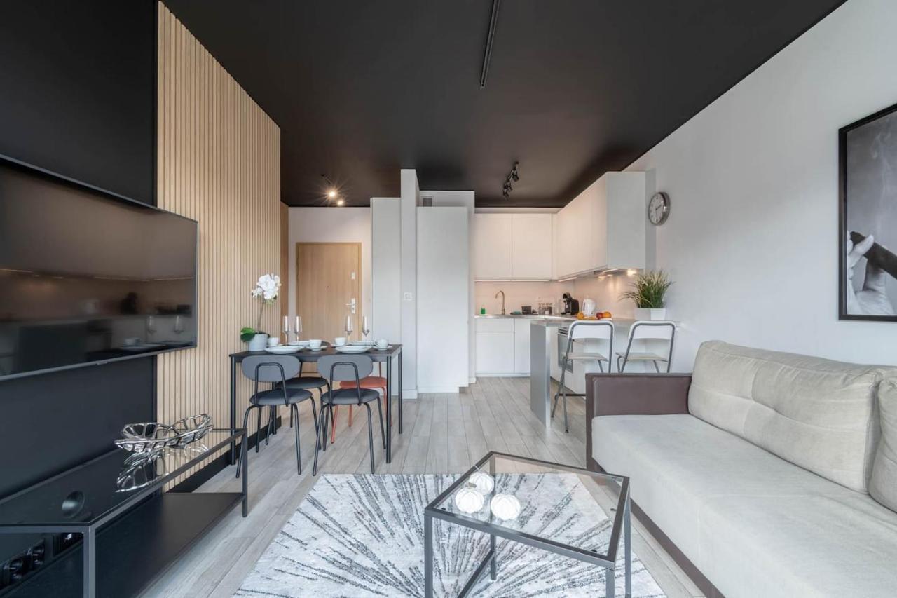 Modern Black Spot Apartment Poznan