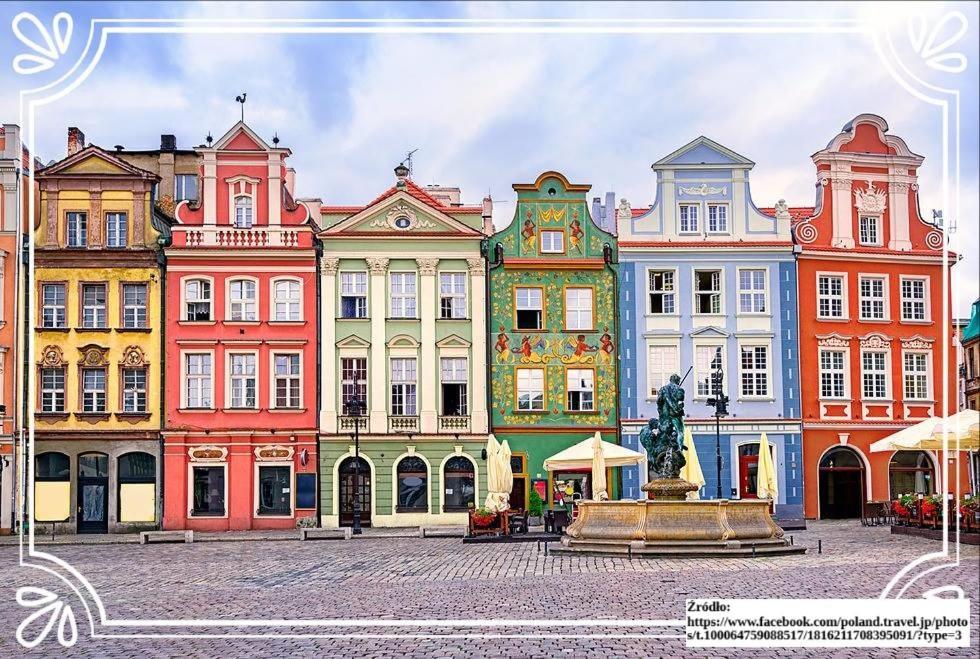 Apartment Modern Black Spot Poznan